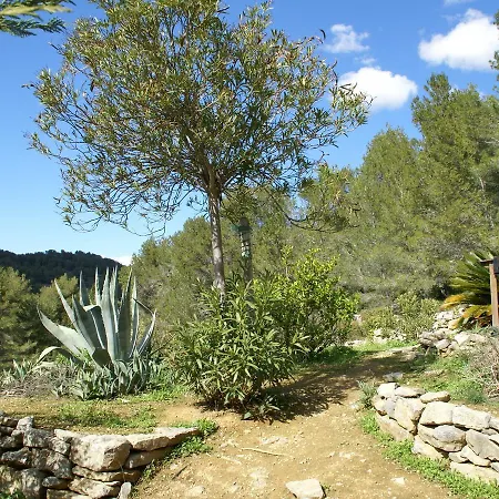Holiday Bandol